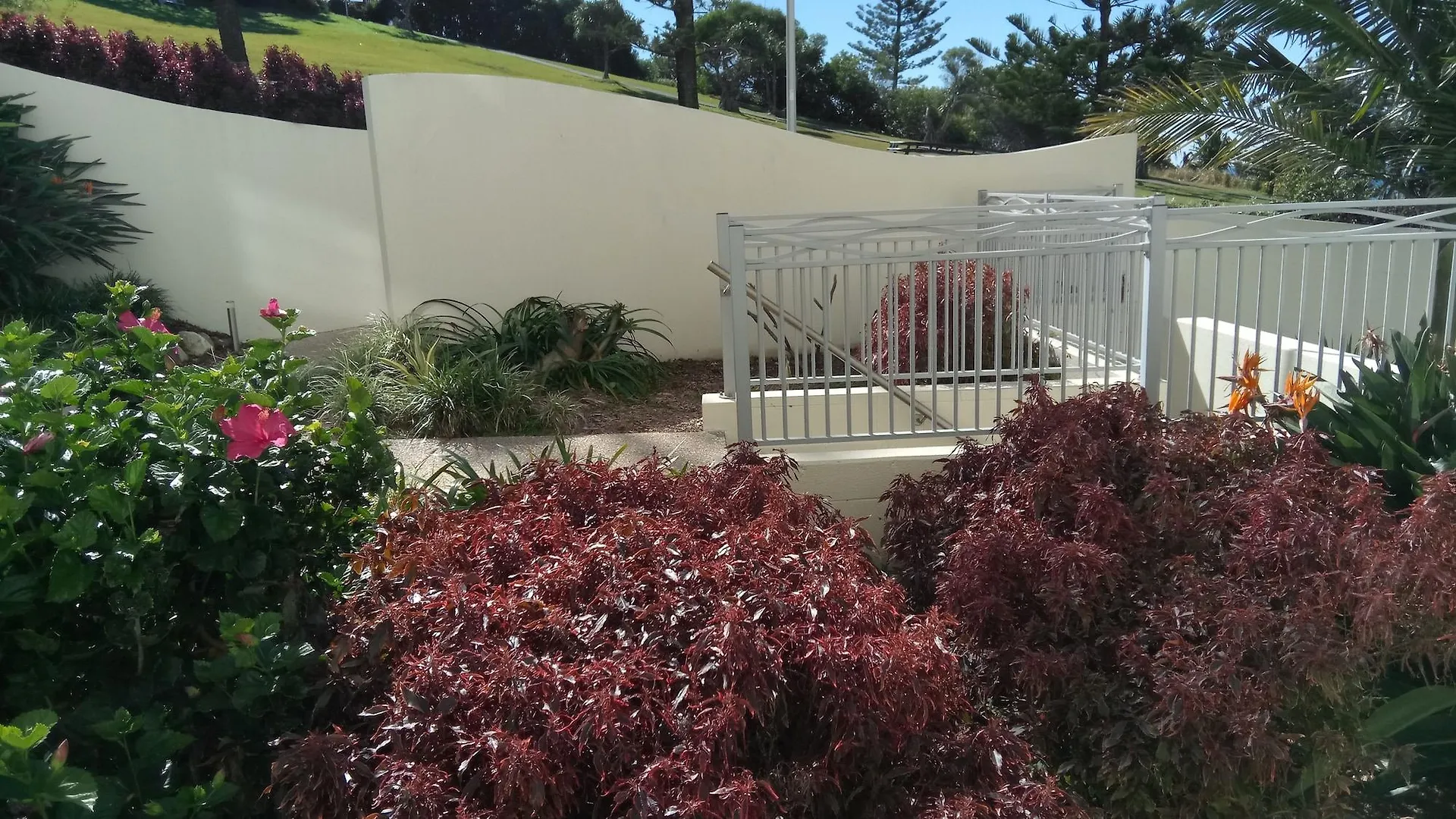 Blue C Coolangatta Aparthotel